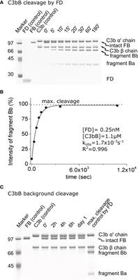 Quantification of the zymogenicity and the substrate-induced activity enhancement of complement factor D